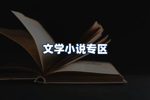 文学小说PDF展示